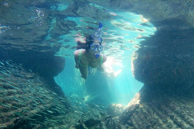Top 4 Snorkeling Adventures in Bimini - Stingray Island and the gentler wildlife stop