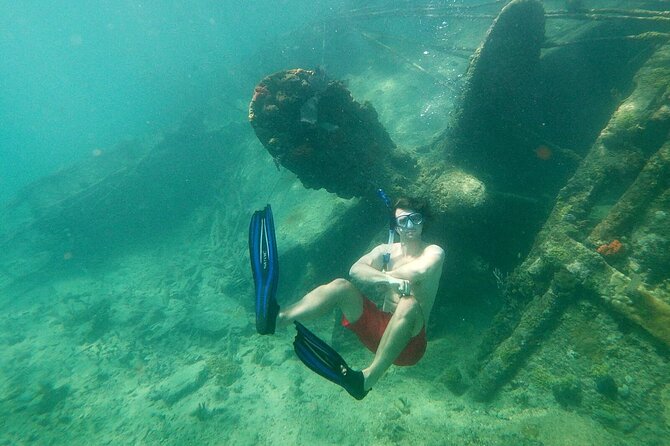 Top 4 Snorkeling Adventures in Bimini - Transport and timing need a careful check