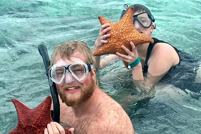 Top 4 Snorkeling Adventures in Bimini - The SS Sapona and its unusual past