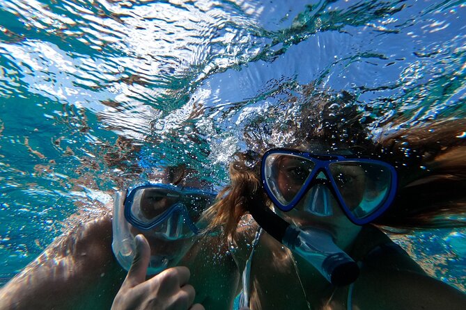 Ultimate SeaXscape Pigs/Turtles/Snorkel/Lunch/Drinks/PU/DO - Why the $199 Price Can Make Sense