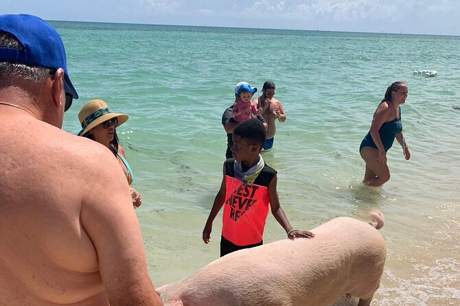 Ultimate SeaXscape Pigs/Turtles/Snorkel/Lunch/Drinks/PU/DO - Who Will Enjoy This Half-Day Trip Most